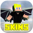 Wing Skins icône