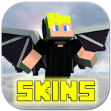 Wing Skins Zeichen