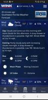 WINK Weather imagem de tela 3