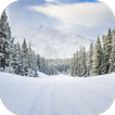 Winter Wallpaper آئیکن