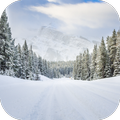 Winter Wallpaper