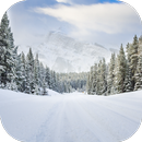 Winter Wallpaper APK