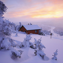 Winter Wallpapers APK