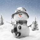 Winter Wallpapers 4K APK