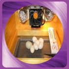 Learn to make an egg incubator icon