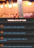 Learn to make an egg incubator poster