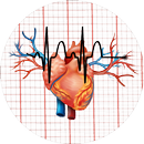 ECG Master Electrocardiogram-APK