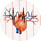 Électrocardiogramme principal icône