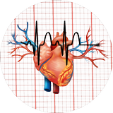 EKG Ana Elektrokardiyogramı