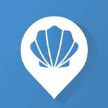 Wise Pilgrim Camino Olvidado