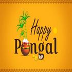 Pongal Status أيقونة