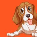 Dog Training