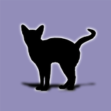 ikon Cat