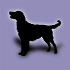 Dog ikon