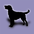 Dog Breeds APK
