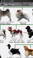 犬図鑑 ポスター