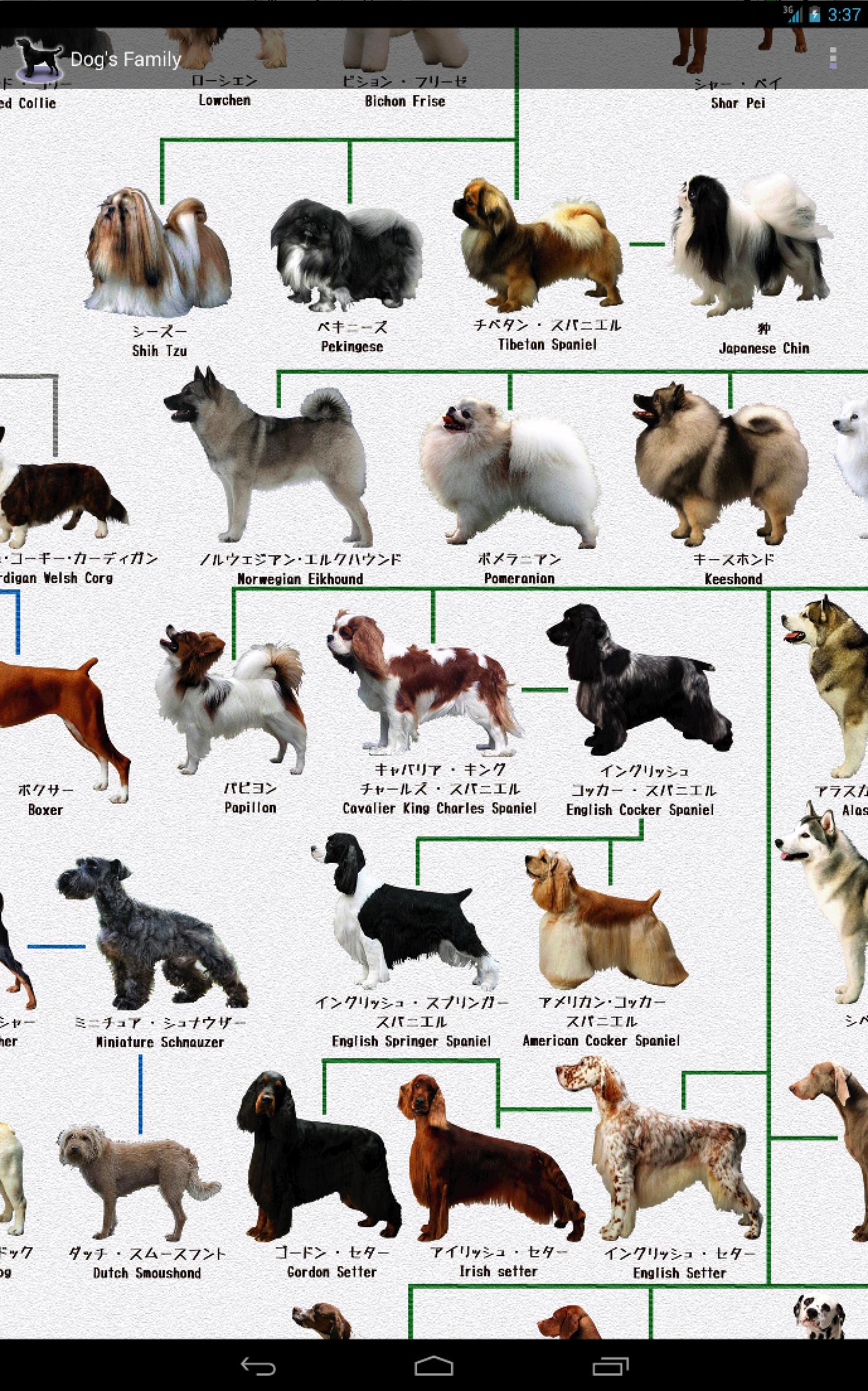 Android 用の 犬図鑑 Apk をダウンロード