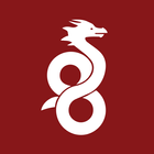 WireGuard icon