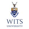 Wits Review APK