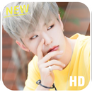 Hoshi Seventeen Wallpaper: Wal APK