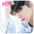 Joshua Seventeen Wallpapers HD