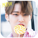 Mingyu Seventeen Wallpapers HD for Kim Mingyu Fans APK