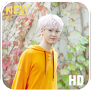 Sanha Astro Wallpaper: Wallpaper HD for Sanha Fans APK