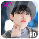 Scoups Seventeen Wallpapers HD for Scoups Fans APK