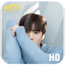 Rocky Astro Wallpaper: Wallpap APK