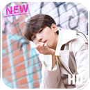 Wonwoo Seventeen Wallpaper HD  APK