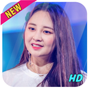 Taeha momoland: Wallpapers HD for Taeha fans APK