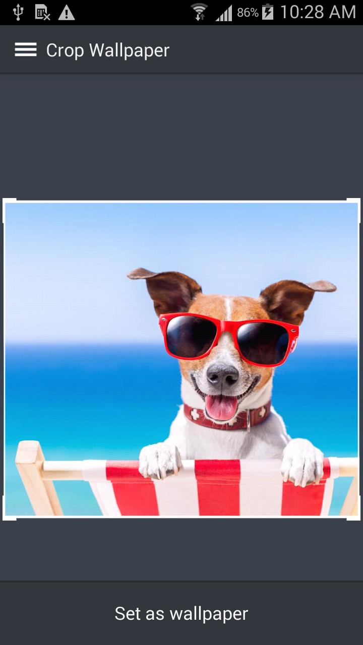 Descarga de APK de Fondos de Pantalla Perritos para Android Descarga de APK de Fondos de Pantalla Perritos para Android