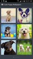 Cute Puppy Wallpapers screenshot 1