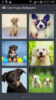 Cute Puppy Wallpapers স্ক্রিনশট 1