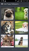 Cute Puppy Wallpapers স্ক্রিনশট 2