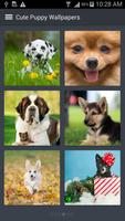 Cute Puppy Wallpapers স্ক্রিনশট 3