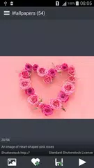 Скачать Розовые Обои на Телефон APK