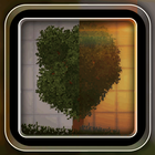 RTX Mod for Melon Playground icon