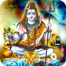 Shiv Chalisa ,Aarti, Audio, Hindi,English,Gujarati APK