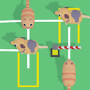 Animal Order APK