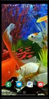 Aquarium screenshot 1