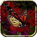 Butterflies Live Wallpaper APK