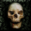 Skulls Live Wallpaper