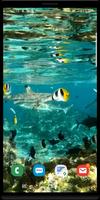 Underwater syot layar 2