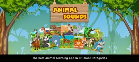 Animal Sounds : Listen & Learn poster