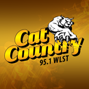 Cat Country 95.1 APK