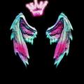 Wallpapers Crazy