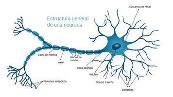 برنامه‌نما Inteligencia artificial - Perceptron عکس از صفحه