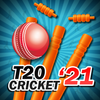 T20 Cricket 2022 আইকন
