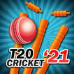 ”T20 Cricket 2022